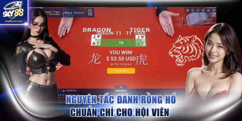 Nguyên tắc đánh Rồng Hổ chuẩn chỉ cho hội viên