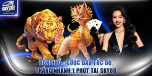 Rồng Hổ